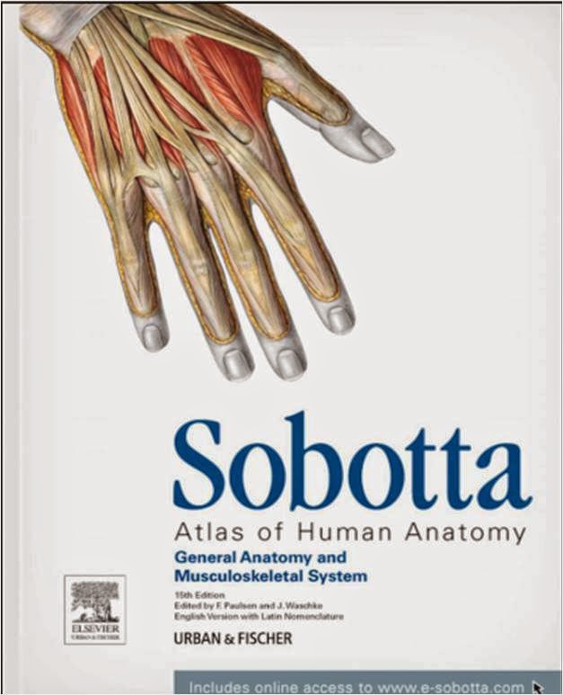 Sobotta Atlas Of Human Anatomy Vol 1 Pdf Free Download