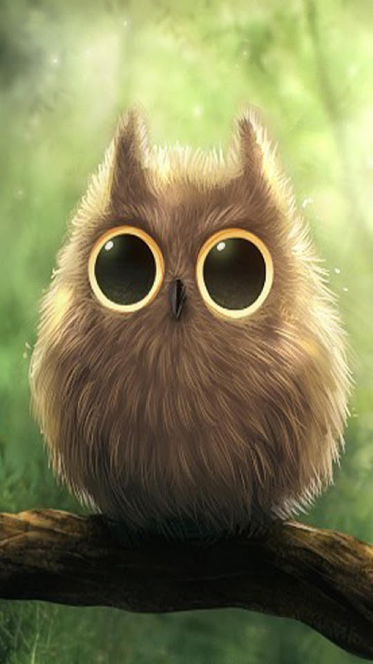 Cute Big Eyes Owl  Galaxy Note HD Wallpaper