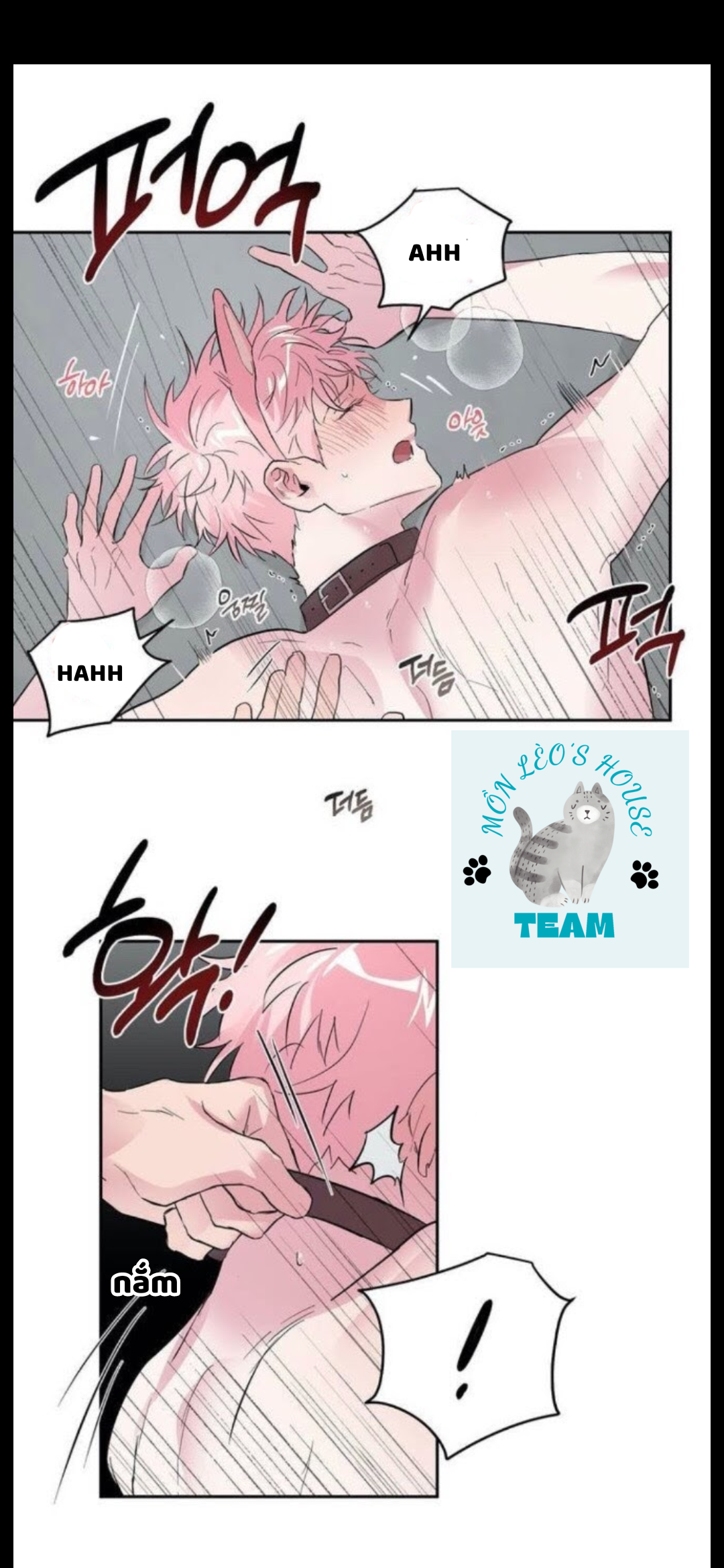 Đọc truyện Assorted Wildness - Chapter 25