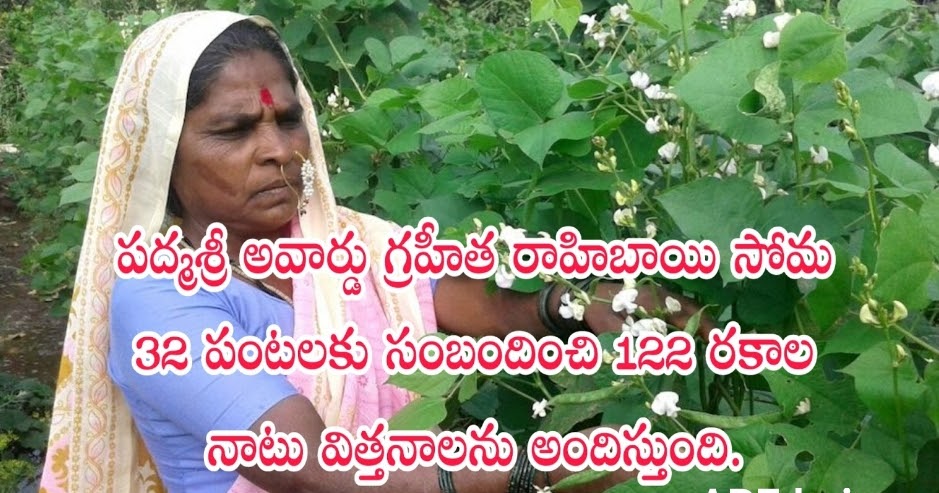 About Rahibai Soma Popere. - APEdu