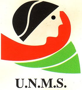 Página de la Unión Nacional de Mujeres Saharauis