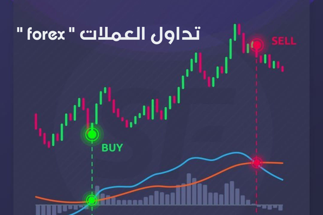 الربح من الفوركس 2022 (تداول العملات) : للمبتدئين شرح مبسط للتداول والأسهم (forex) - أرباح الربح من الفوركس 2022 (تداول العملات) : للمبتدئين شرح مبسط للتداول والأسهم (forex) - أرباح