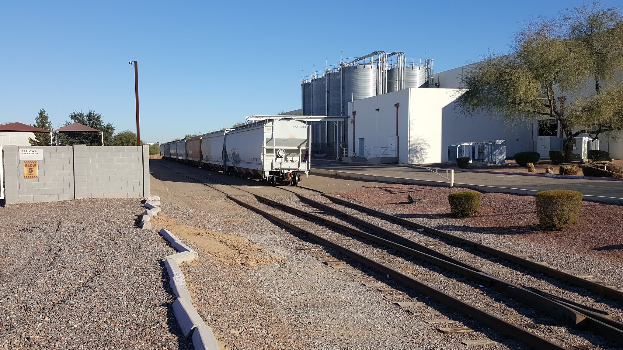 Drunken Samurai's No Caboose Blog Field Research Berry Plastics