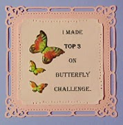 Butterfly Challenge Top 3