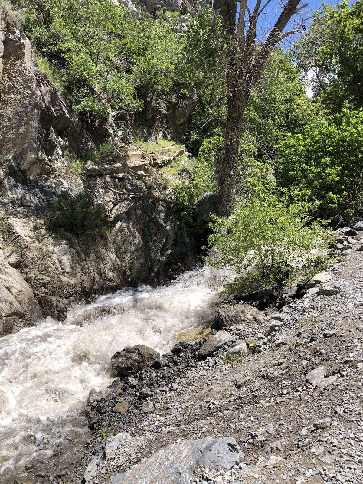 Walking Arizona: Spring Runoff in Rock Canyon, Wasatch Front, Provo, Utah