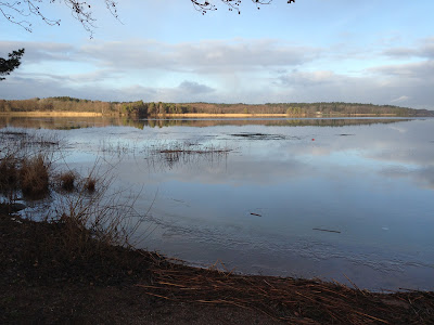 IMG_0440 - Barnvagns-PW och träning med gummiband