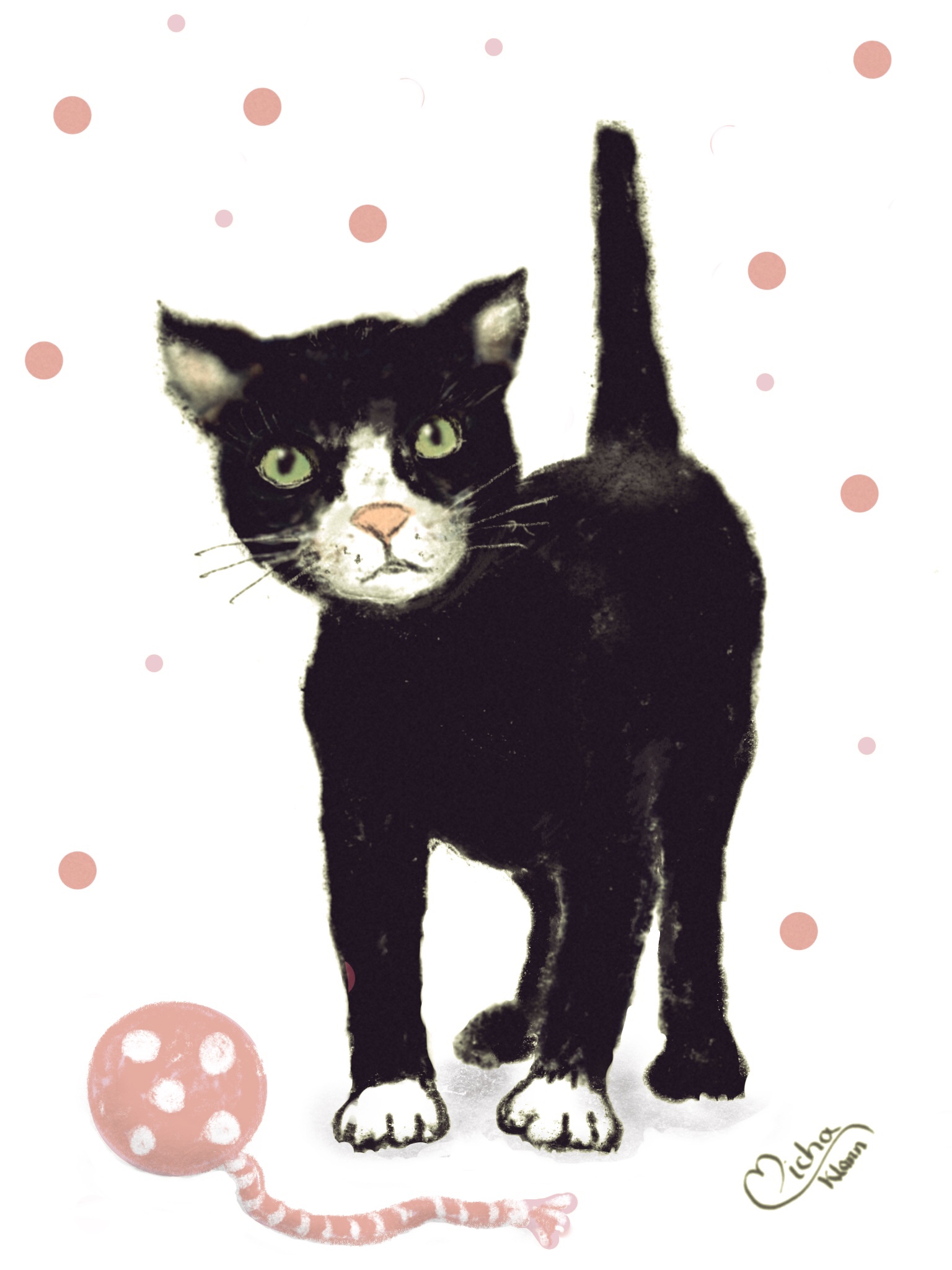 Junge schwarze Katze