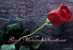 morning rose quotes roses special awesome sms emotional greetings true wishes single romantic hindi heart think miss quotesgram sweetheart scraps