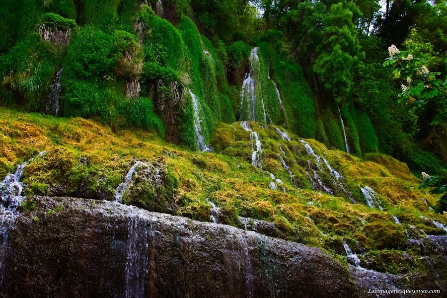 Parque Natural del Monasterio de Piedra