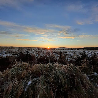 Winter Sunrise over icy grasslands