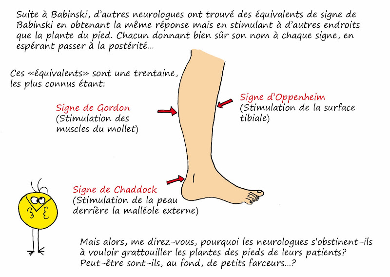 Le blog dessiné du docteur Neurone La neurologie pour les nuls le signe de Babinski Le blog dessiné du docteur Neurone La neurologie pour les nuls le signe de Babinski
