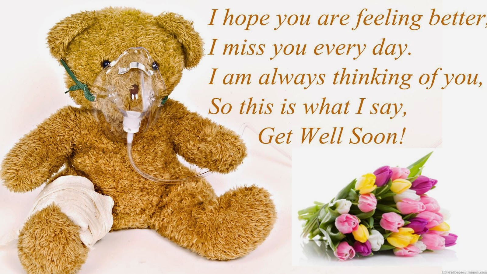 GET WELL SOON MESSAGES, GET WELL SOON WISHES, GET WELL SOON WORDS - Beautiful Messages1600 x 900