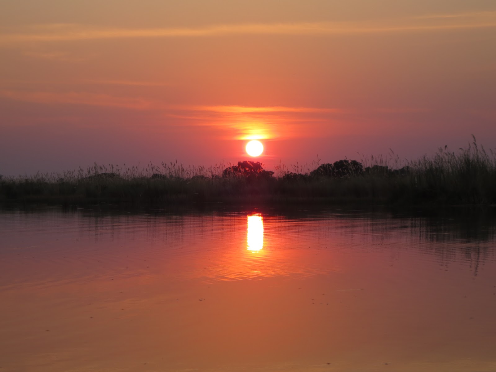 Día 5: Delta del Okavango - Botswana y Cataratas Victoria. Viaje por libre de 19 dias (7)