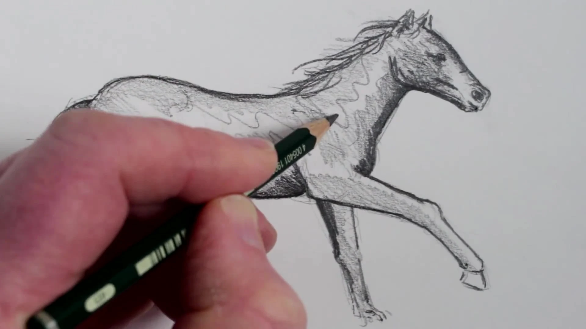 رسم حصان بالرصاص