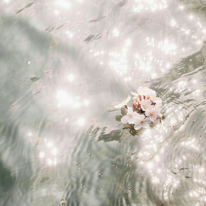 Hoa trôi trên sóng nước - Chương 1