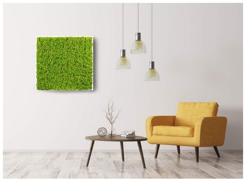 quadro-verde stabilizzato