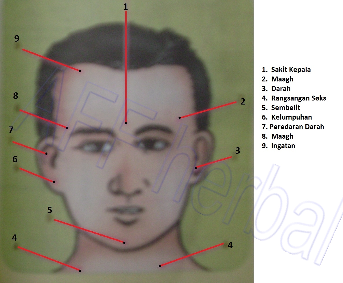 Fungsi beberapa titik refleksi dan mengenal titik refleksi di tubuh
