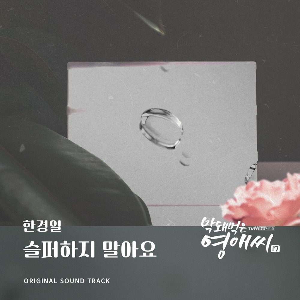 Han Kyung Il – Rude Miss Young-Ae Season 17 OST Part.19