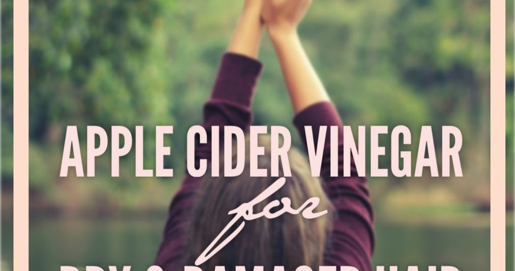 Natural Remedies for Dry Damaged Hair Apple Cider Vinegar Crazy