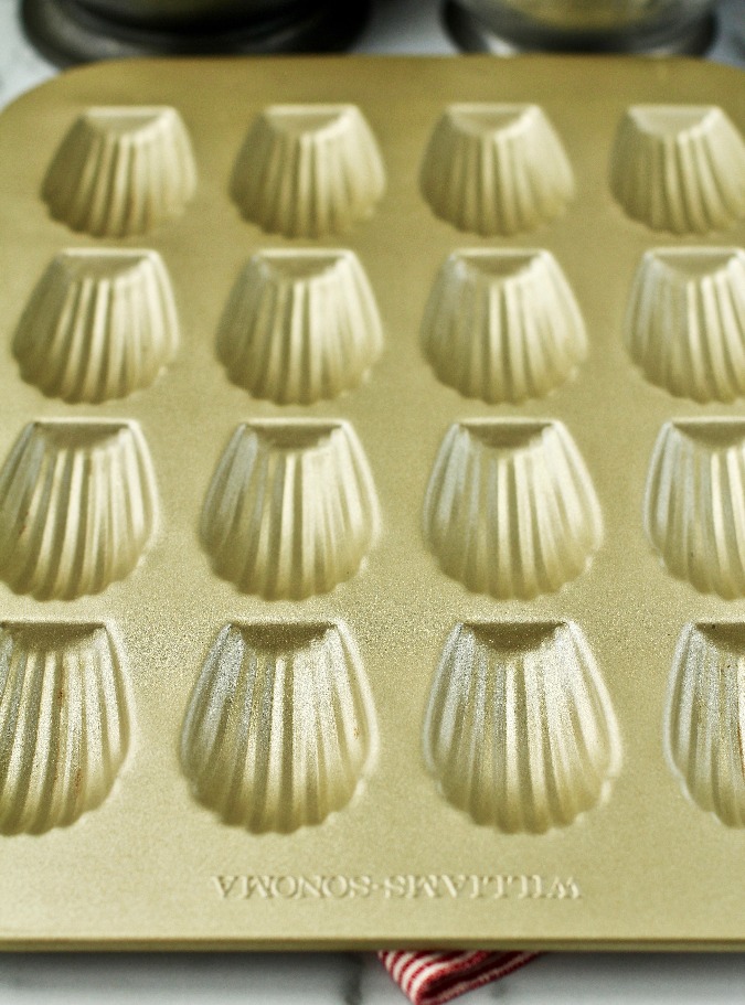 Madeleine pan Madeleine pan