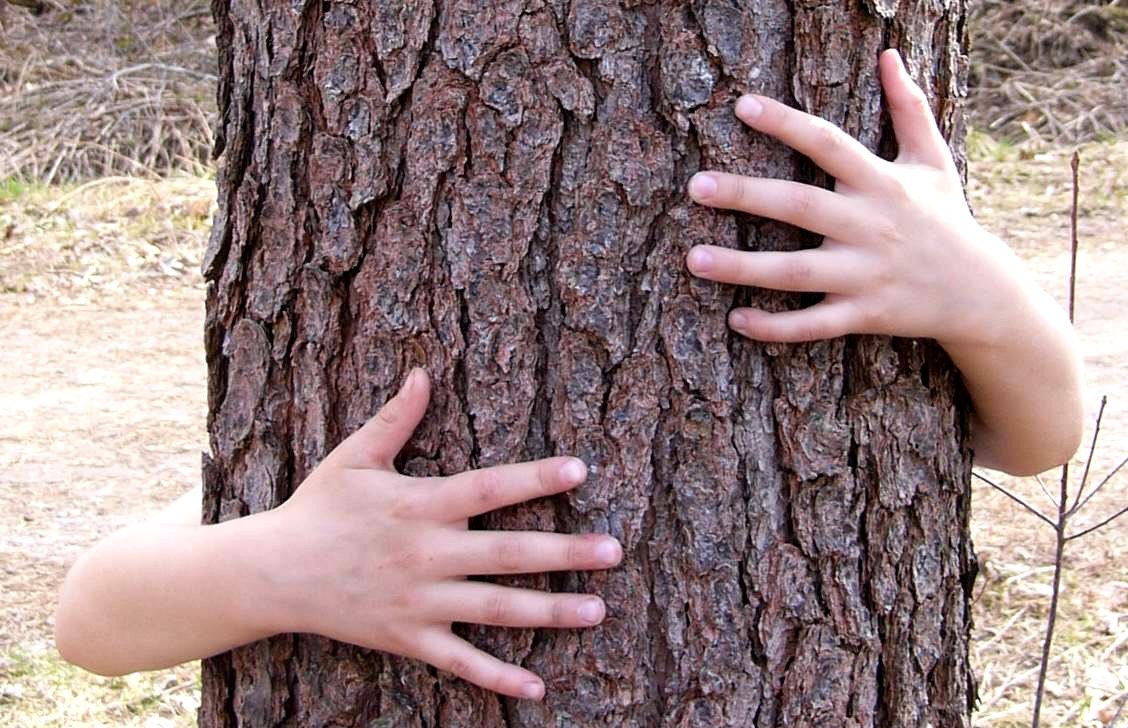 hugging+a+tree.jpg