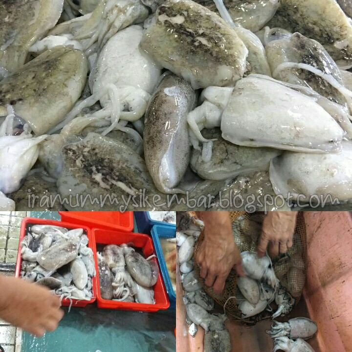 Camna Rupa Bentuk Sotong Nuih Ni Ira Mommy Si Kembar