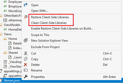 visual studio library manager