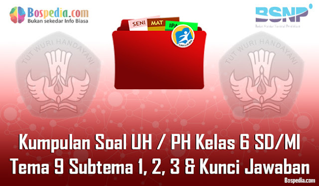 Kumpulan Soal UH / PH Kelas 6 SD/MI Tema 9 Subtema 1, 2, 3 dan Kunci Jawaban