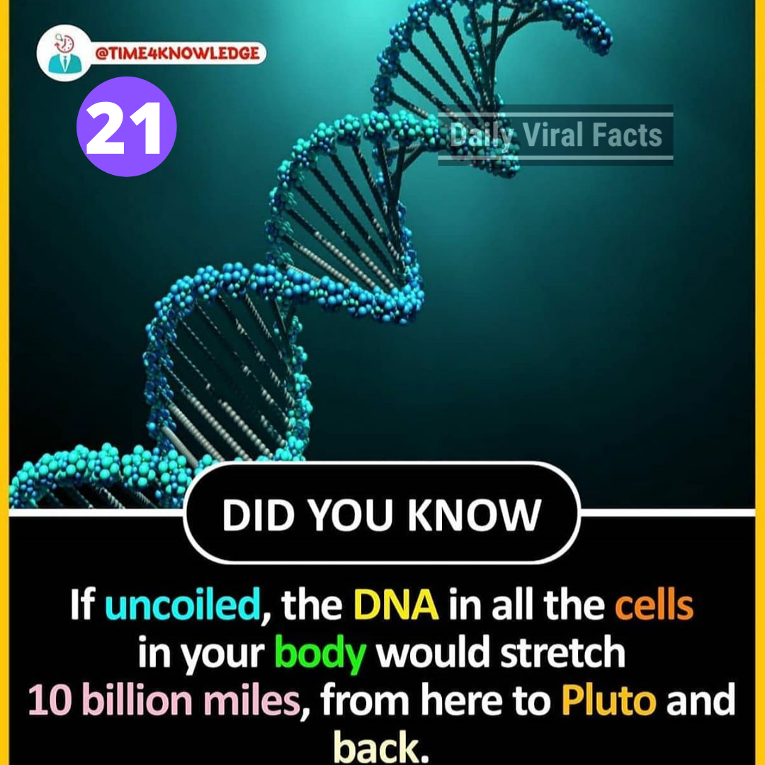 [100+] Amazing Facts That You Should Know 3