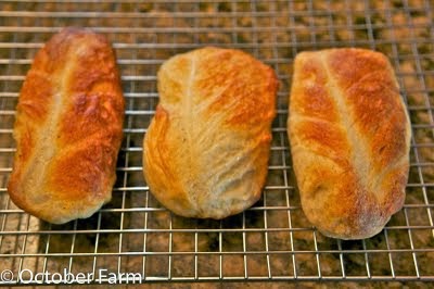 Cabbage Bread Recipe