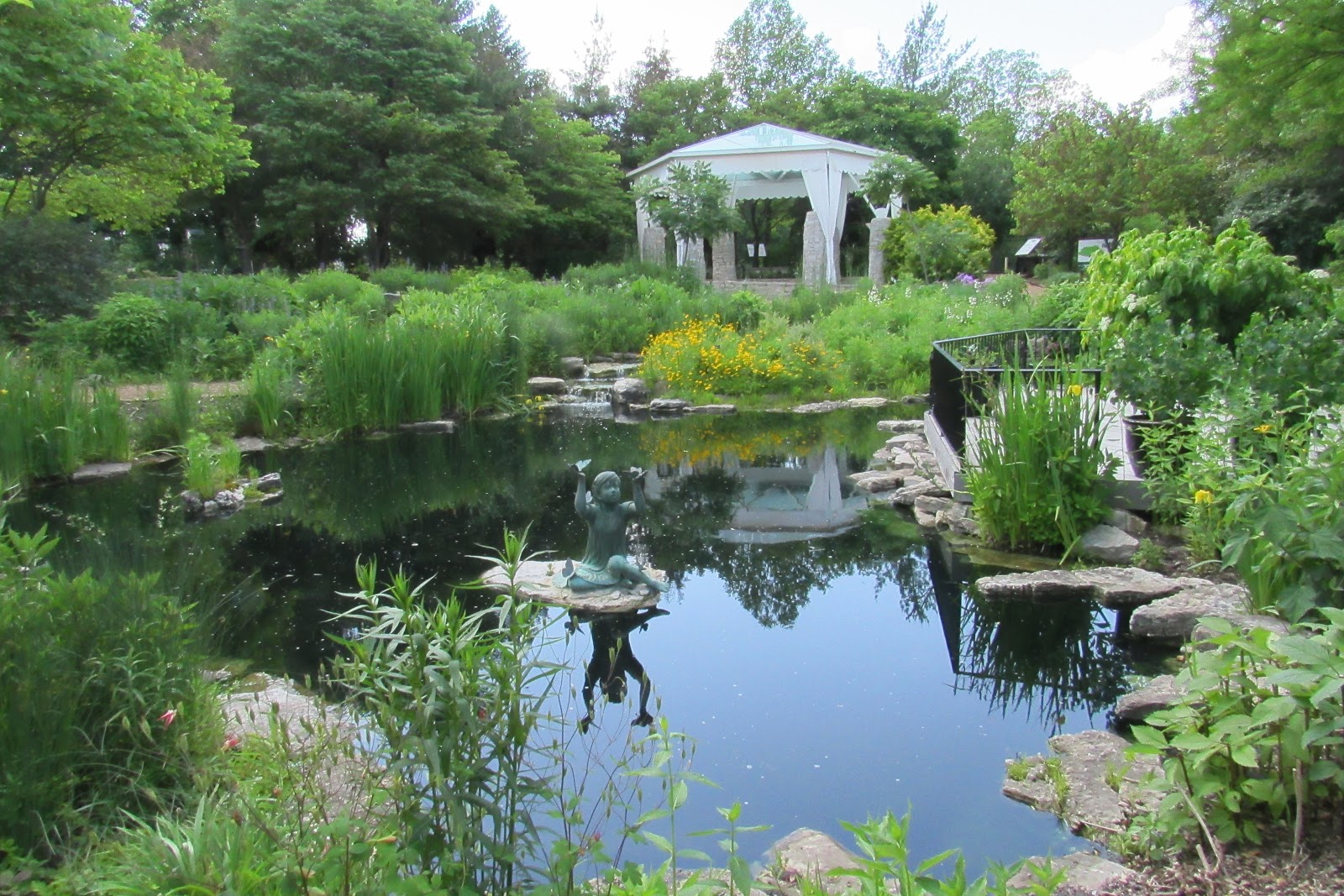 Butterfly Musings Butterfly House in Chesterfield, MO is beautiful!! A