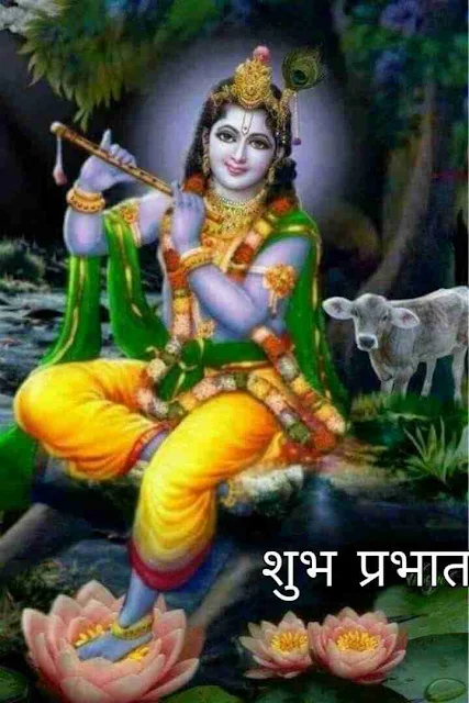 Good Morning Krishna Image