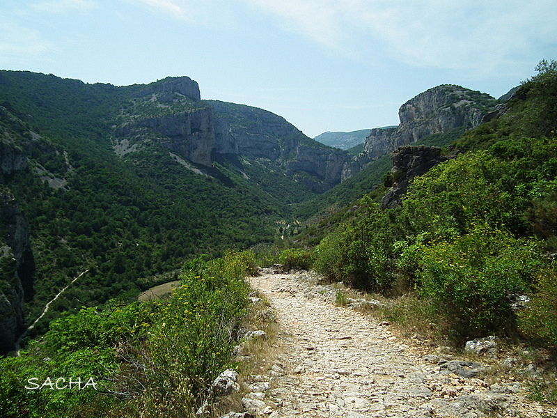 Un jour....Une photo ! Le château du Géant " St GuilhemleDésert