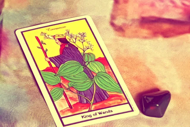 King of Wands - The Herbal Tarot