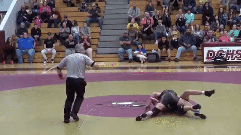 Men Wrestling Women: 2019