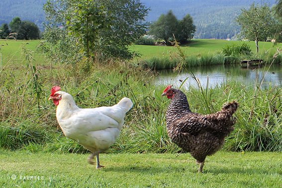 Raumfee Page 39 Chan 6647220 Rssing Com