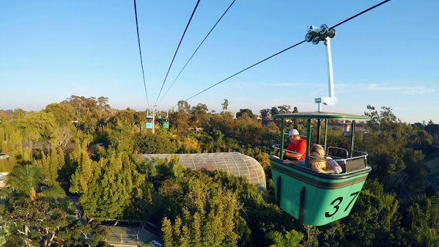 Zoológico San Diego Zoo na Califórnia