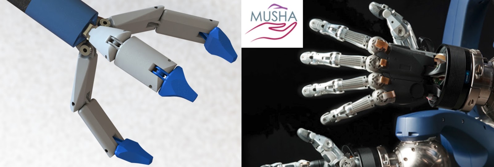 MUSHA MUltifunctional Smart HAnds project