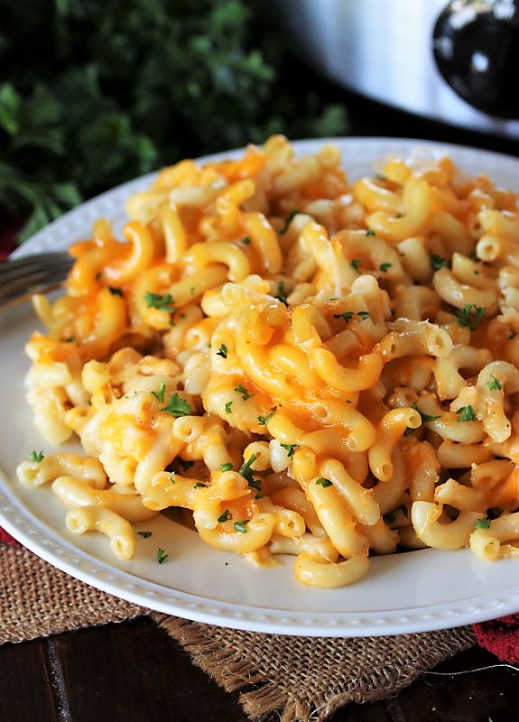 Slow Cooker Macaroni & Cheese The Kitchen is My Playground