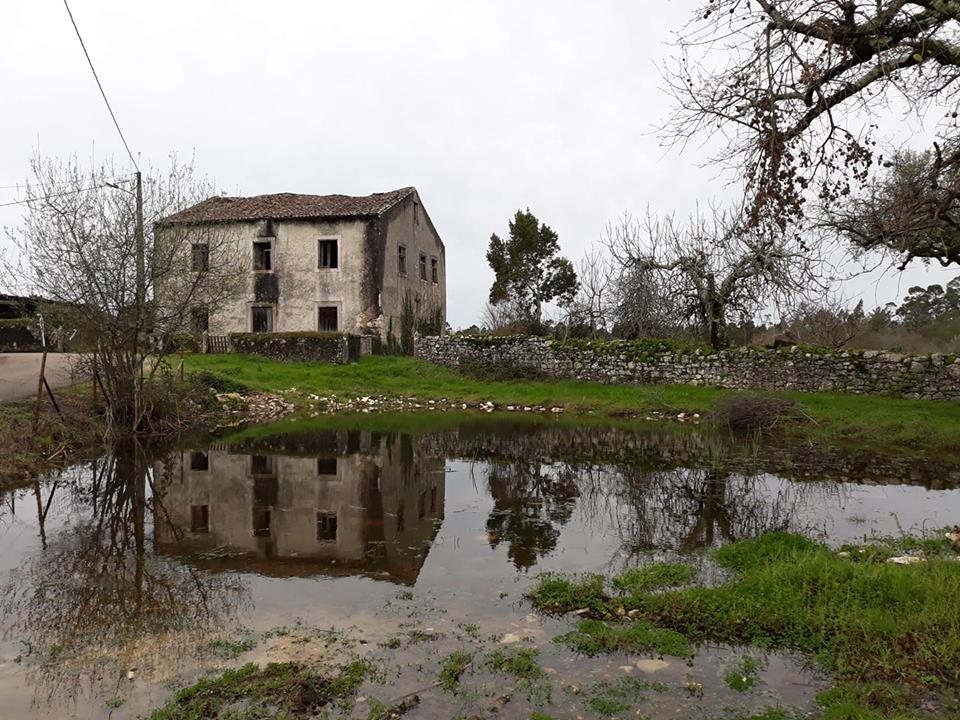 Resultado de imagem para ansião + escampado da lagoa + fotos