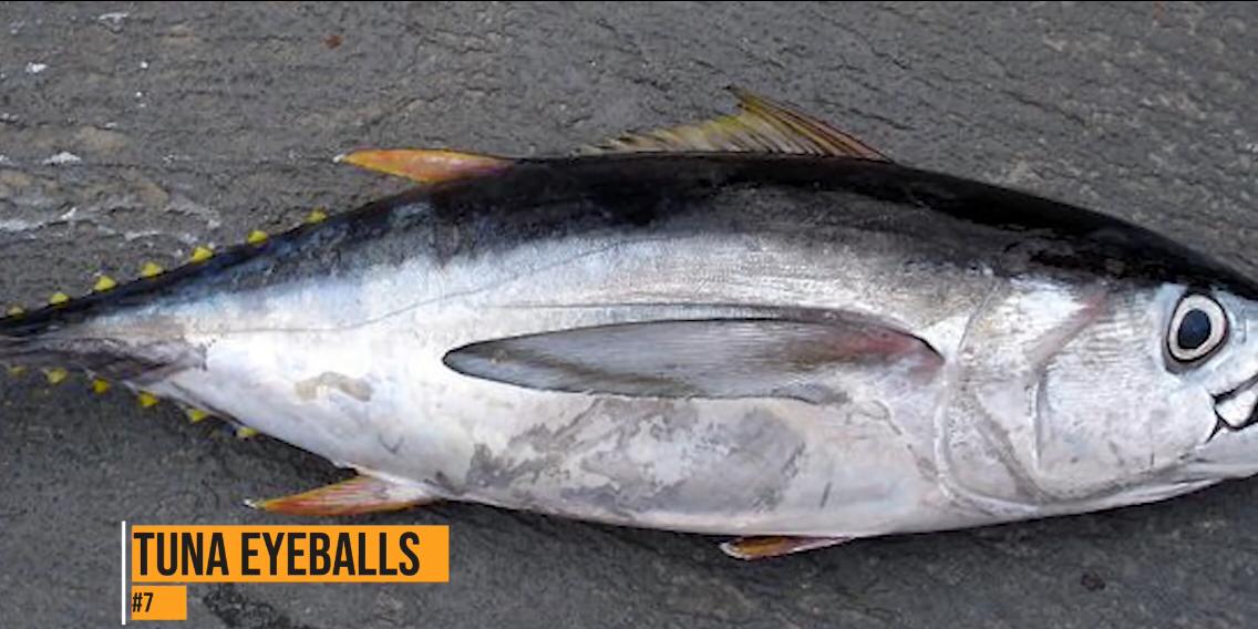 Tuna Eyeballs