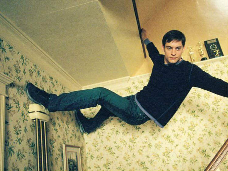 spiderman 2002 download free spiderman 2002 download free