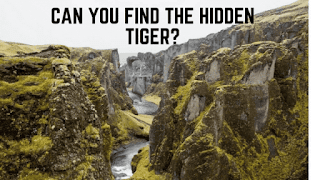 Can you find the hidden tiger?