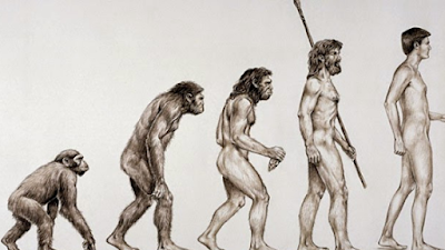 Os erros e contradições da teoria da evolução