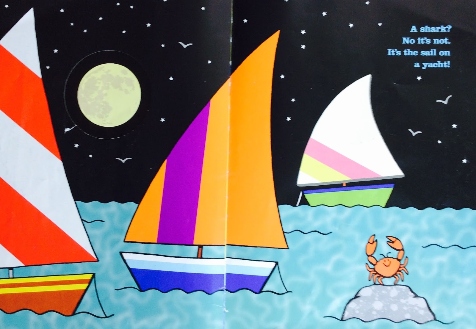 Redondela English Centre: Shark in the Dark