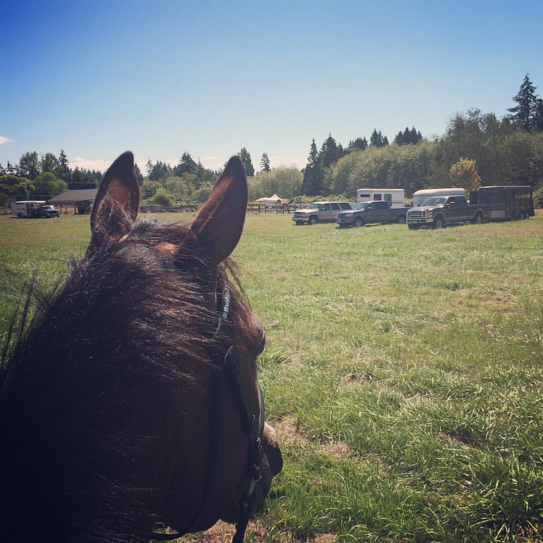 Tally Ho Farms Eventing for All Ages Camp Recap & Updates