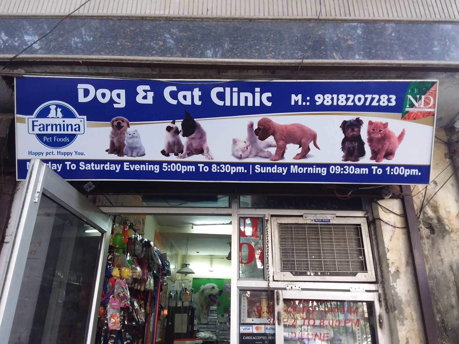 Top 10 Pet Shop In South Delhi