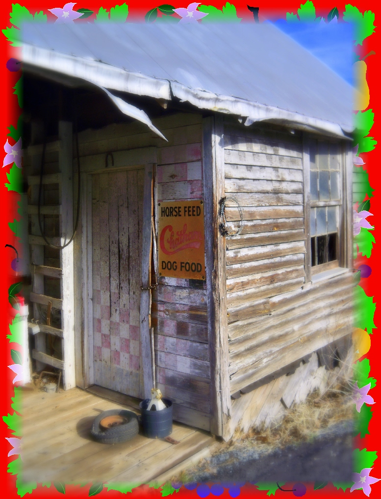 The Arrowood Trail Thru the Mountains 2/20/11 2/27/11