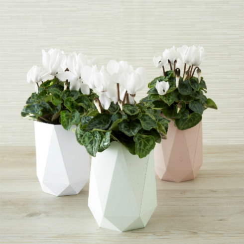 Minimal Vase Diy Project From Paper Craft Home