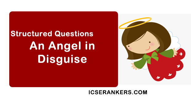 Questions Answers of An Angel in Disguise by T.S. Arthur From Treasure